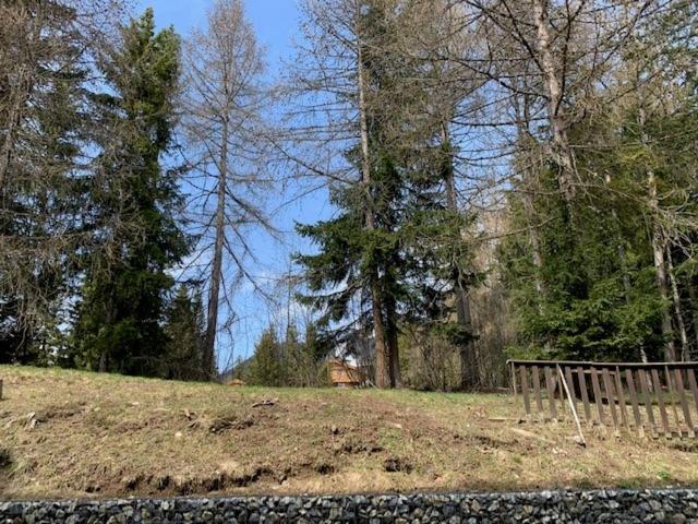 Cozy Central Apartment At A Special Price! Crans-Montana Exteriör bild